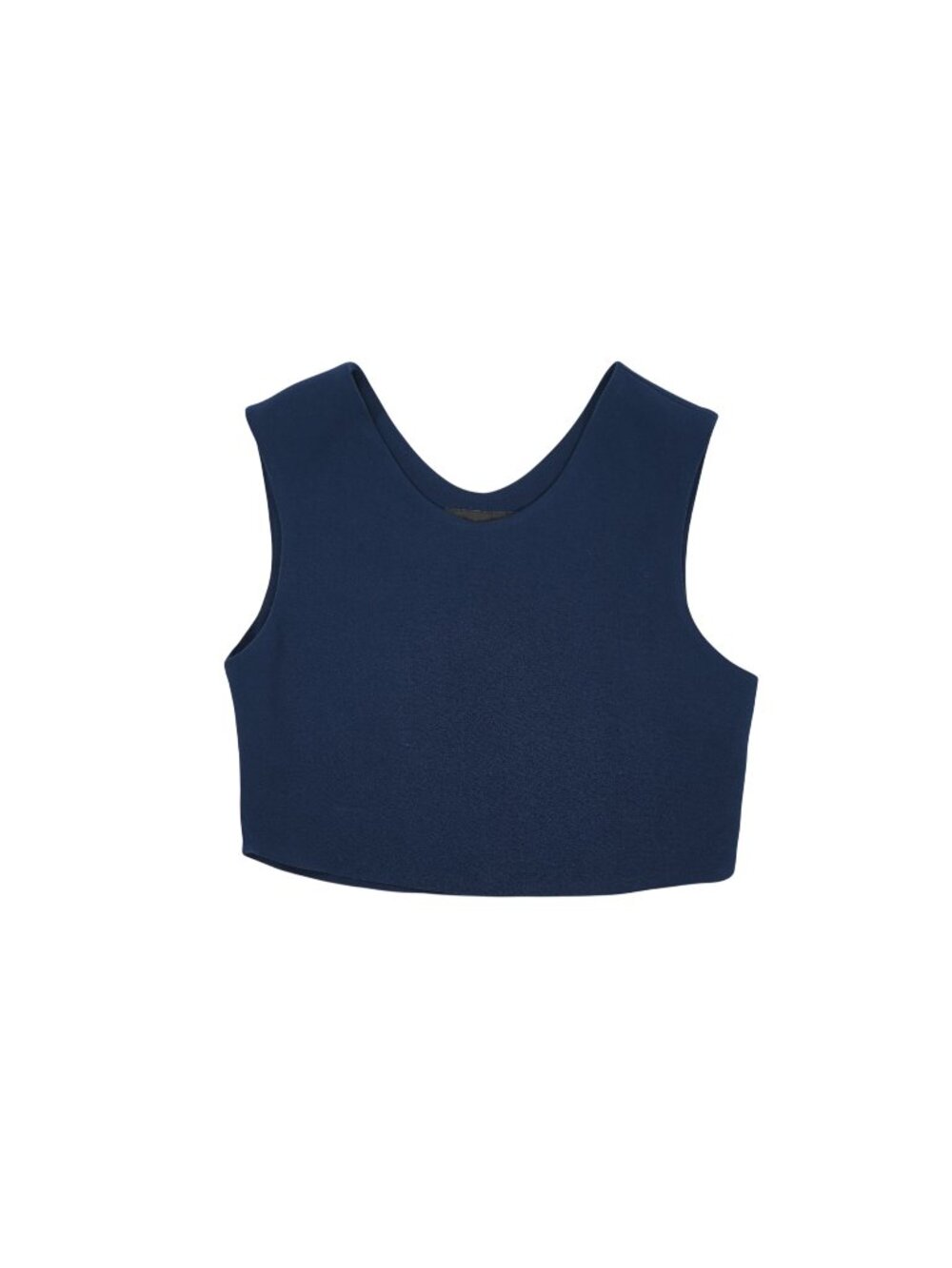 Laveer Crop Top in Blue